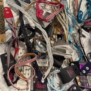 Paparazzi Jewelry and Accessories Bundle